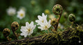 Serene forest art download